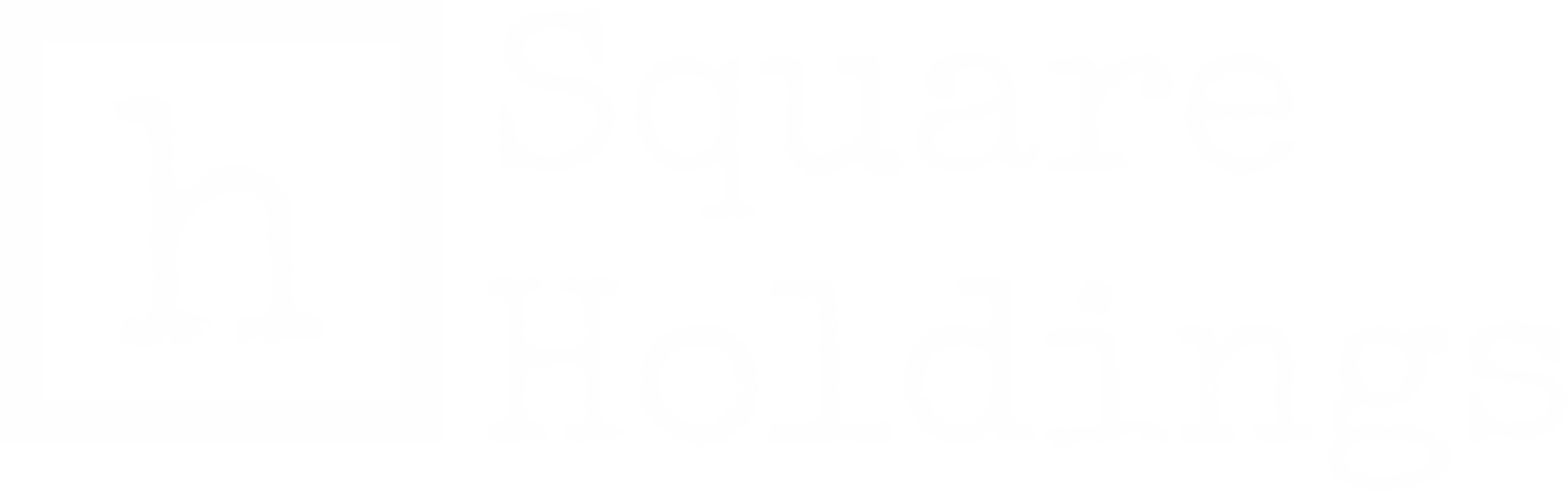 Square Holdings logo white